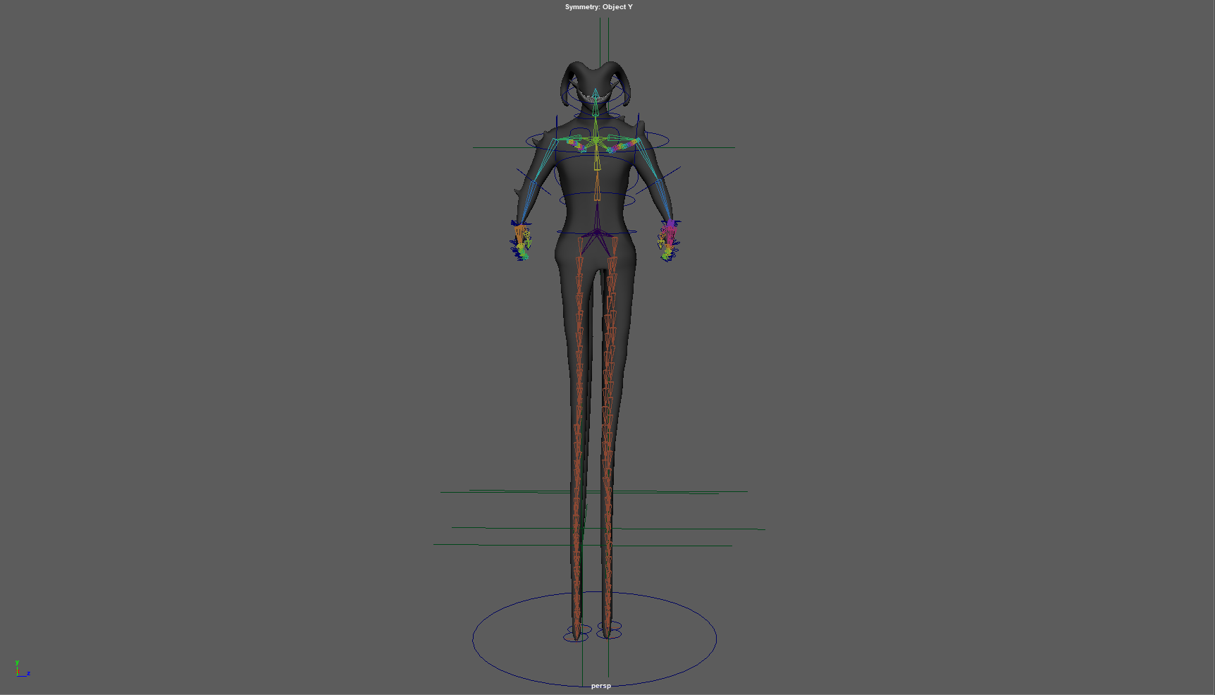 Rig